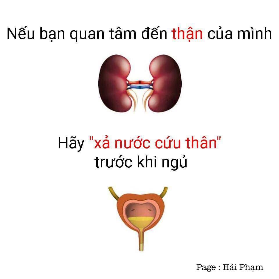 Thận