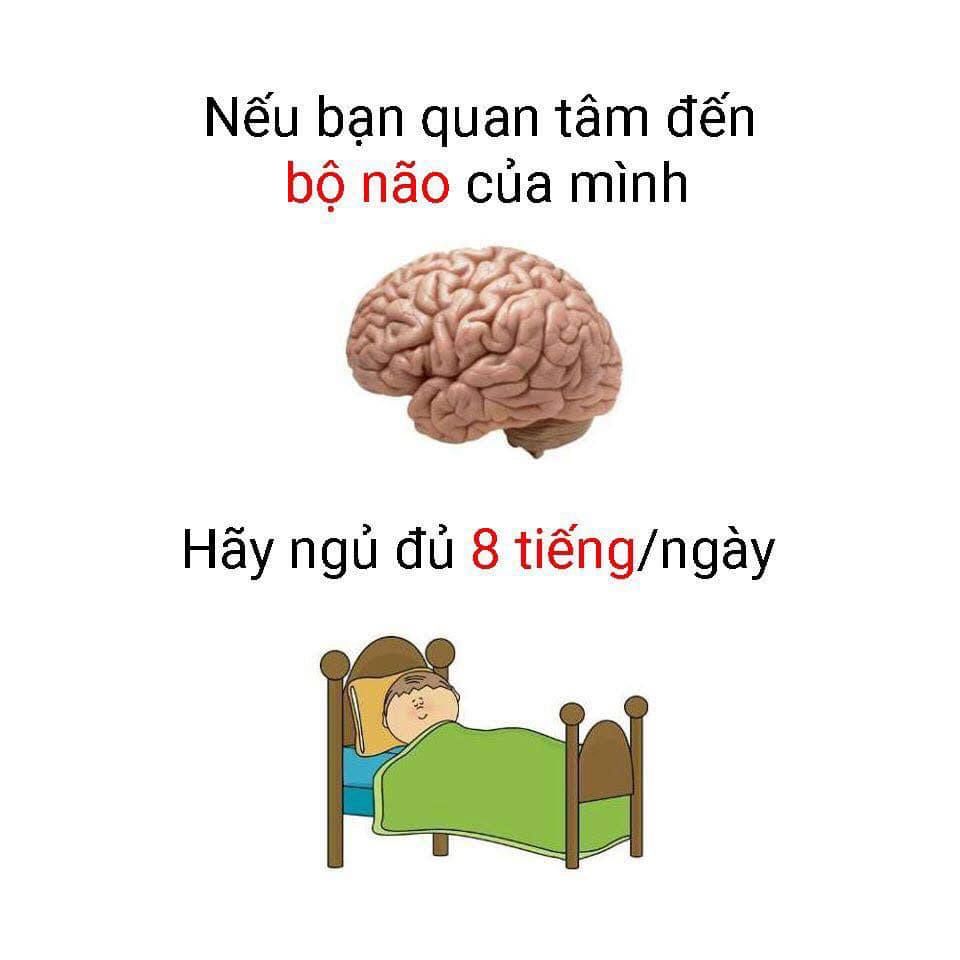 Bộ Não